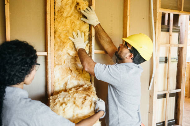 Insulation Repair Services in Geneva, WA